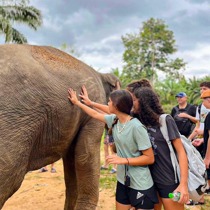 Krabi-Tour-Elephants-Care-Emerald-Pool-Hot-Spring-5 Krabi-Tour-Elephants-Care-Emerald-Pool-Hot-Spring-5