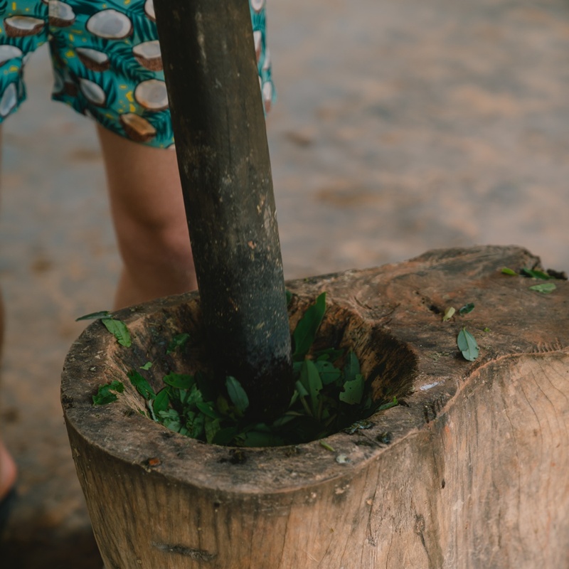 Krabi Tour Walking with Elephants Make Herbal Medicine-2 Krabi Tour Walking with Elephants Make Herbal Medicine-2