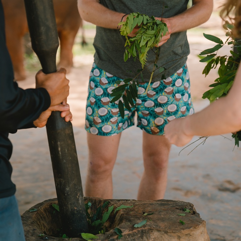 Krabi Tour Walking with Elephants Make Herbal Medicine-3 Krabi Tour Walking with Elephants Make Herbal Medicine-3