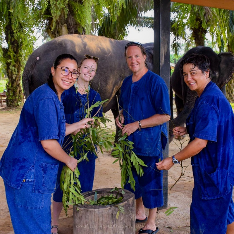 Krabi Tour Walking with Elephants Make Herbal Medicine-5 Krabi Tour Walking with Elephants Make Herbal Medicine-5