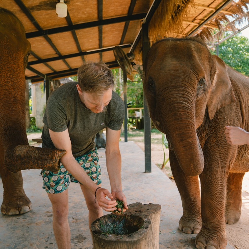 Krabi Tour Walking with Elephants Make Herbal Medicine Krabi Tour Walking with Elephants Make Herbal Medicine